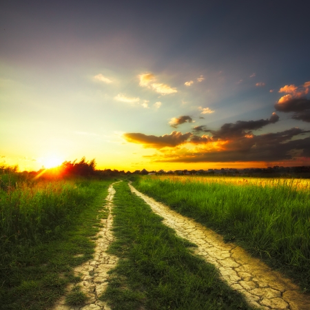 24876153 - path in the field and sunset. rural landscape